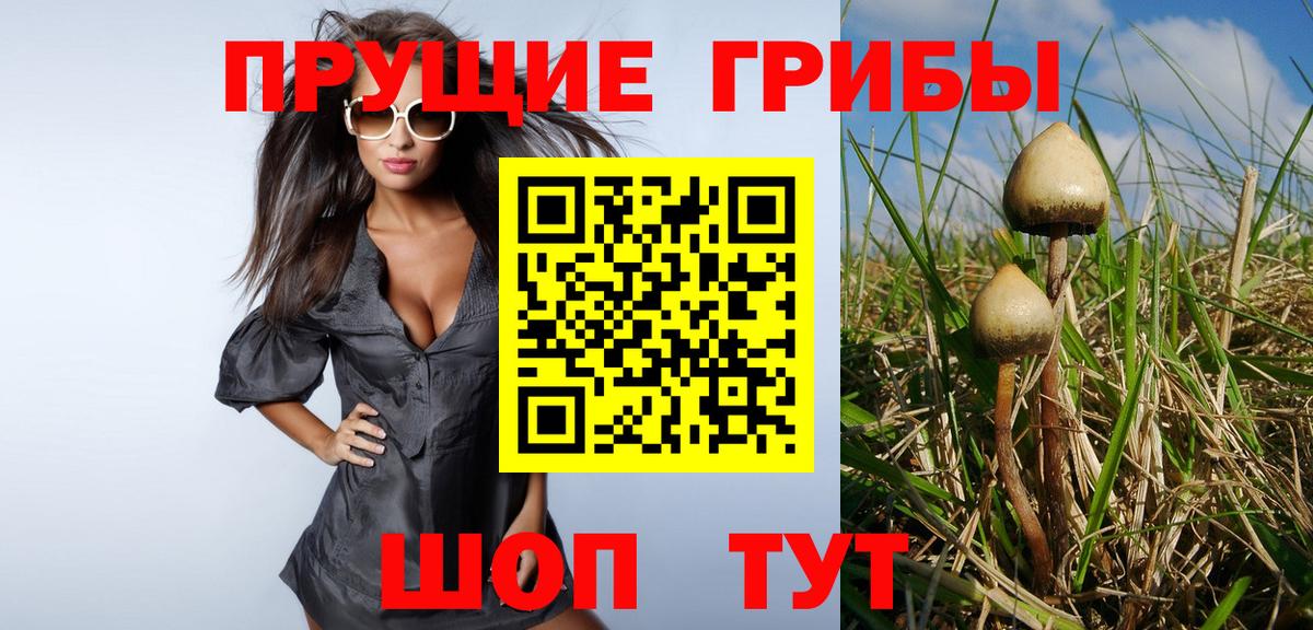 Галлюциногенные грибы Magic Shrooms  Галлюциногенные грибы Cubensis  Магадан  Вход с VPN 